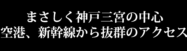 まさしく神戸三宮の中心　空港、新幹線から抜群のアクセス